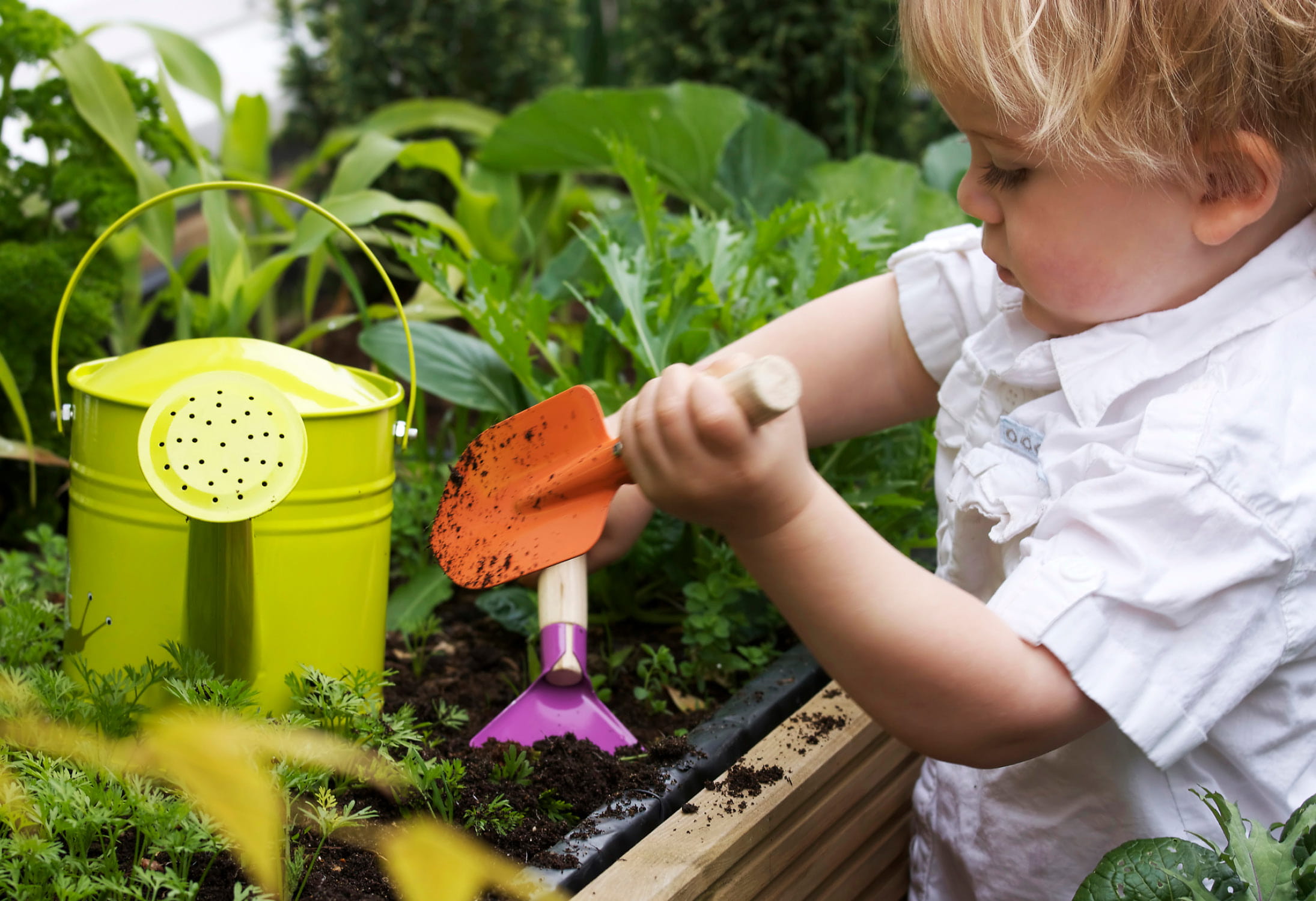 Our top tips for gardening with children